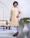 Loxtyle Premium Maize Embroidered Texture Punjabi